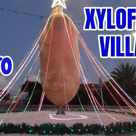 -= Studio Love =- Xylophaghou المظهر الخارجي الصورة